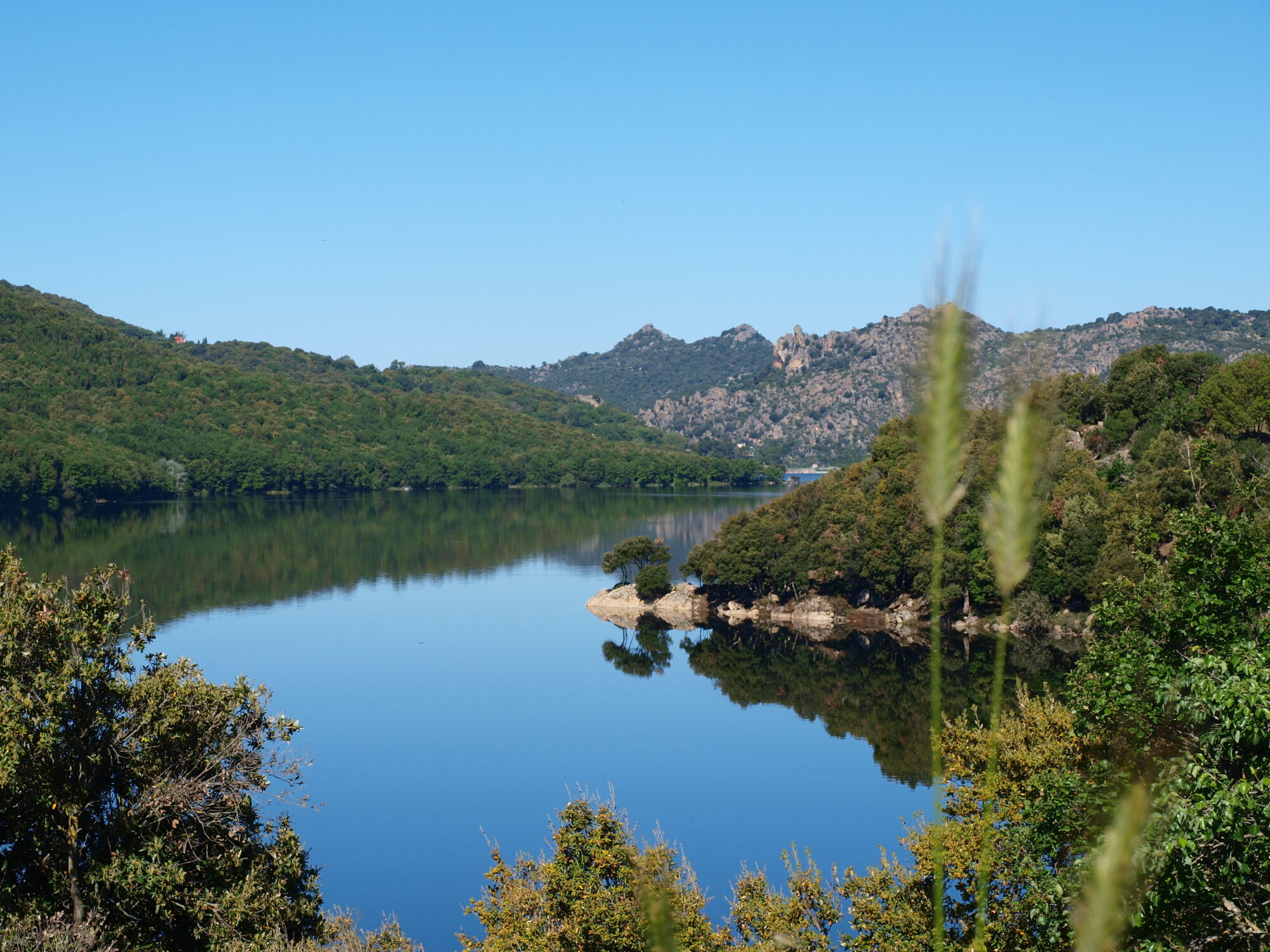 Scorcio sul lago di Gusana, lago di montagna circondato da verdeggianti boschi