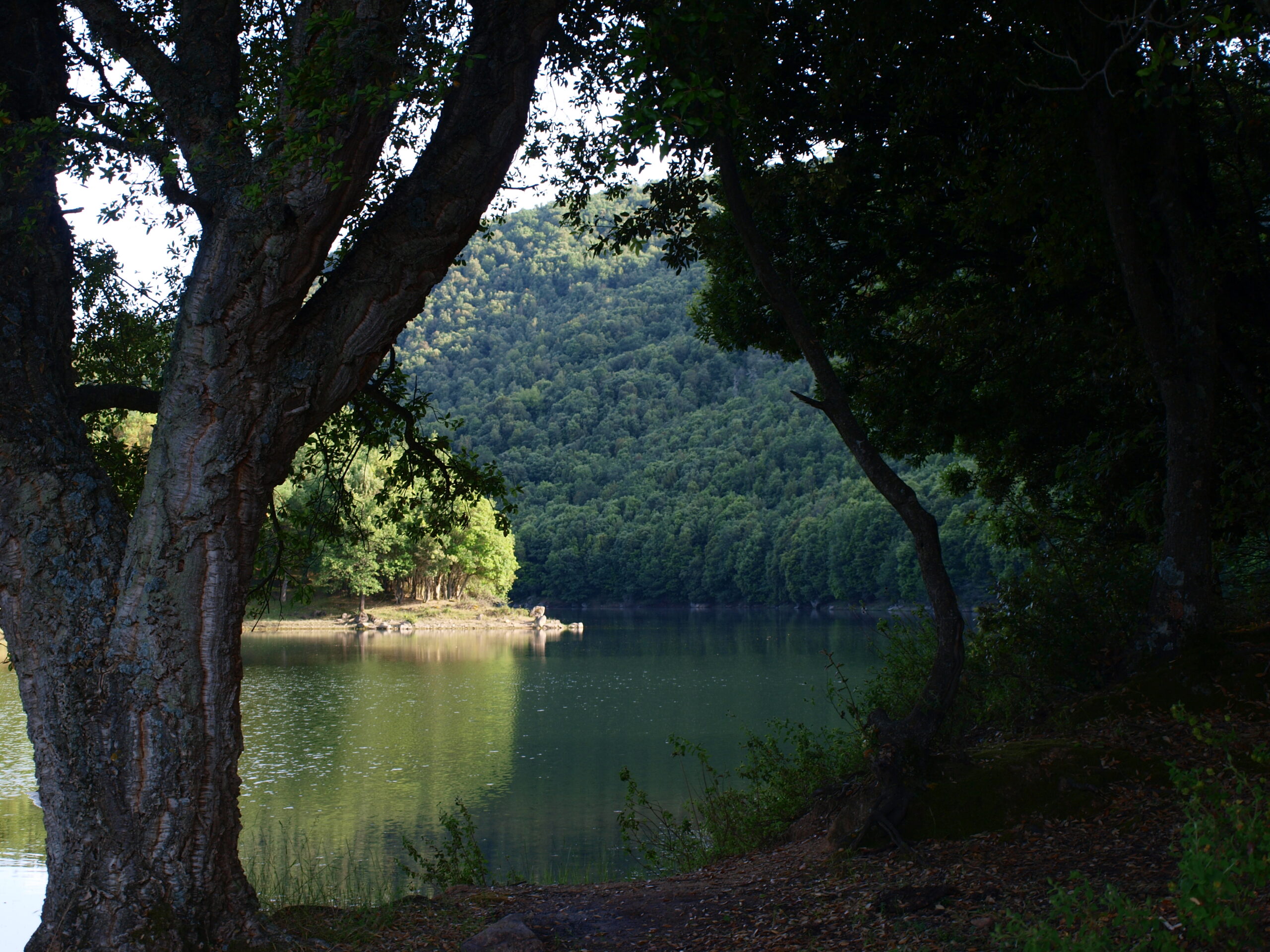 BeerBagia Festival: birra, musica e territorio.